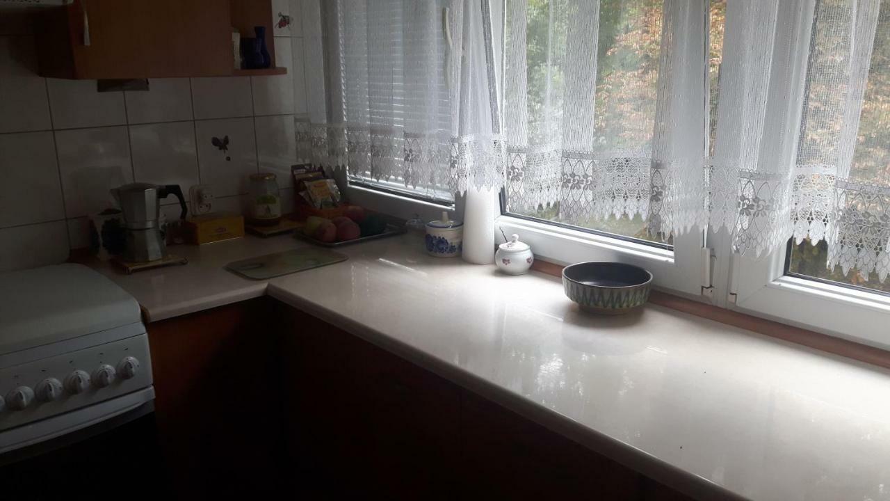 Motylek Daire Łódź Dış mekan fotoğraf