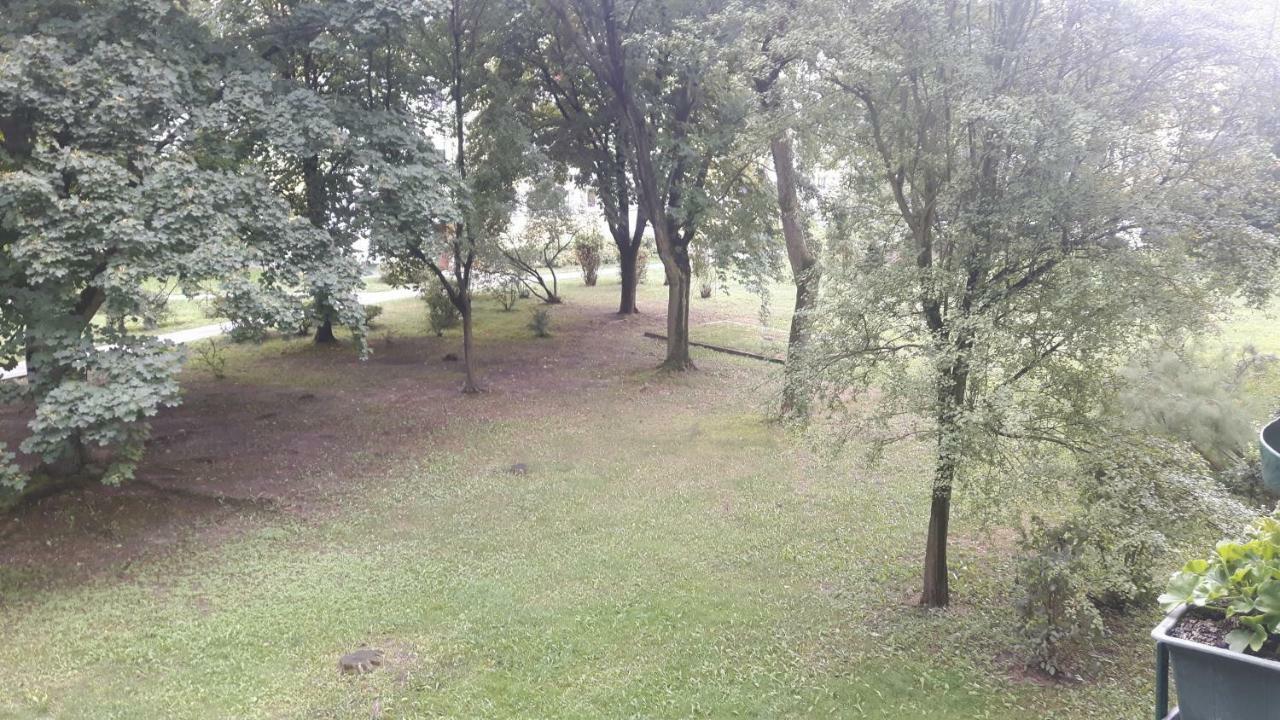 Motylek Daire Łódź Dış mekan fotoğraf